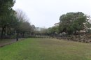 Bordeaux, jardin de Mériadeck